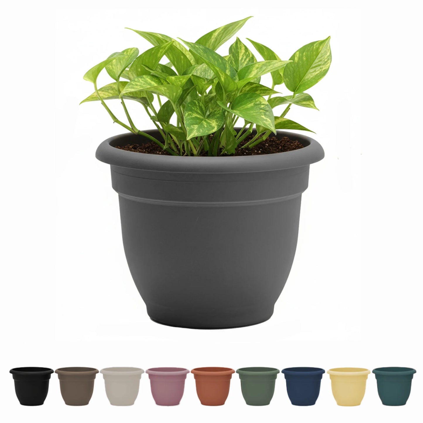 Ariana 16" Self-Watering Plastic Planter - Rolled Rim Indoor/Outdoor Garden Pot, Charcoal